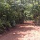 CR 3190, Clarksville, AR 72830 ID:1154548
