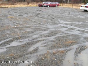 41825 Birch Lane, Homer, AK 99603