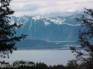 53385 Hutler Road, Homer, AK 99603