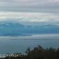 53385 Hutler Road, Homer, AK 99603 ID:6889905
