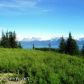 53385 Hutler Road, Homer, AK 99603 ID:6889908