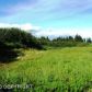 53385 Hutler Road, Homer, AK 99603 ID:6889910