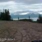 53385 Hutler Road, Homer, AK 99603 ID:6889912