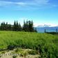 53385 Hutler Road, Homer, AK 99603 ID:6889913