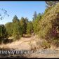 17625 Black Forest Rd, Penn Valley, CA 95946 ID:1136899