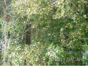 113 NW 145th Terrace, Newberry, FL 32669