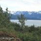 L4 B1 Cottonwood Hill Avenue, Homer, AK 99603 ID:6888579