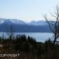 L4 B1 Cottonwood Hill Avenue, Homer, AK 99603 ID:6888583