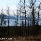 L4 B1 Cottonwood Hill Avenue, Homer, AK 99603 ID:6888584