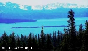 Tr 2 Moonbeam Lane, Homer, AK 99603