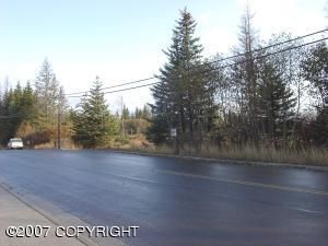 3563 Greatland, Homer, AK 99603