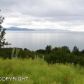 2528 Rene Court, Homer, AK 99603 ID:6891478