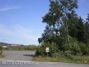 1011 Soundview Avenue, Homer, AK 99603