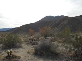 Lot 13 De Anza Trail, Borrego Springs, CA 92004