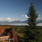53839 Mansfield Avenue, Homer, AK 99603 ID:6891319