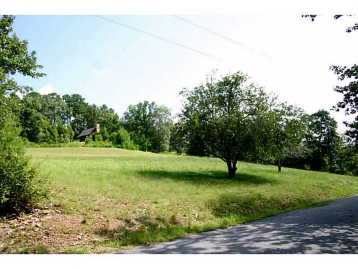 0 Trammel Road, Cumming, GA 30041