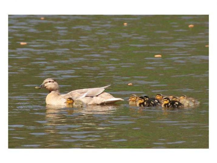 Unit 28111 - 28111 Plantation Drive Ne, Atlanta, GA 30324