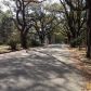 921 W 1st Ave, Albany, GA 31701 ID:7183926