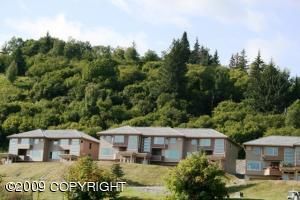 814 Quiet Creek Drive, Homer, AK 99603