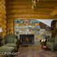 41297 Heather Street, Homer, AK 99603 ID:6891769