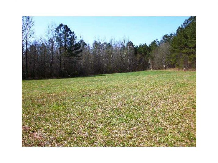 0 Mudd Green Road, Temple, GA 30179