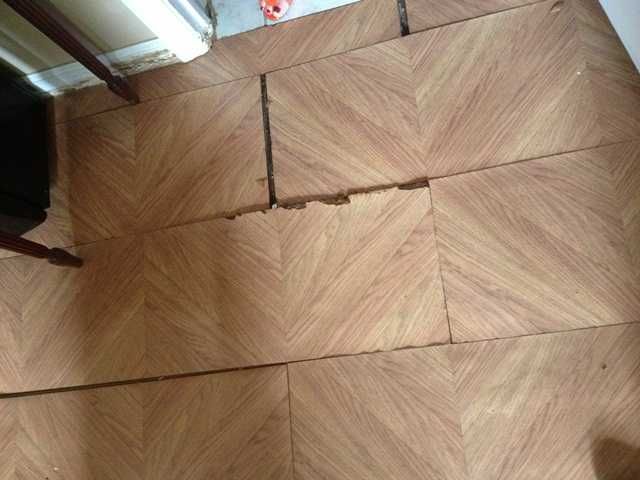 9550 SW 148 CR, Miami, FL 33196