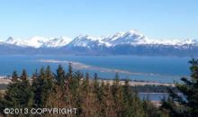 191 Tulin Bluff West Homer, AK 99603