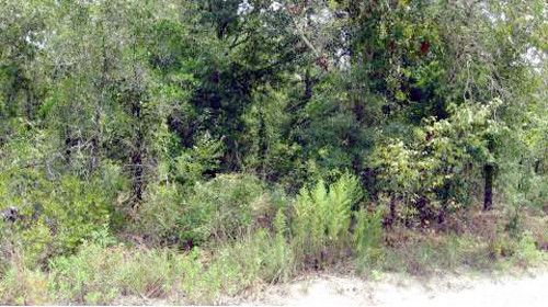 194TH TERR, O Brien, FL 32071