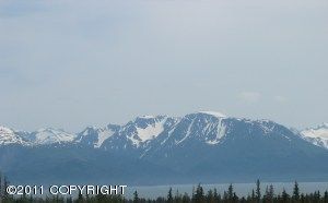 39761 Sibson Drive, Homer, AK 99603