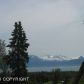 39761 Sibson Drive, Homer, AK 99603 ID:6889498