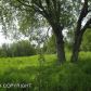 39761 Sibson Drive, Homer, AK 99603 ID:6889502