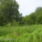 39761 Sibson Drive, Homer, AK 99603 ID:6889503