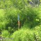 39761 Sibson Drive, Homer, AK 99603 ID:6889505