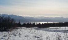 L1 Alpine Meadows Drive Homer, AK 99603