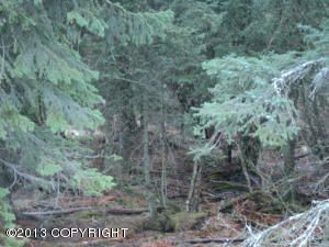 L8 Mallard Way, Homer, AK 99603