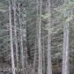 L8 Mallard Way, Homer, AK 99603 ID:6968801