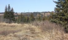 5745 Katie Jean Circle Homer, AK 99603