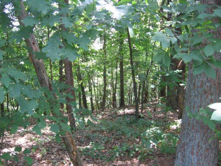 5 Calhoun Road, Dahlonega, GA 30533