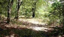 Vacant S CR 53 Lee, FL 32059