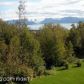 40852 China Poot Street, Homer, AK 99603 ID:6890831