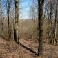 18 Sugar Ridge Drive, Ellijay, GA 30536 ID:7203023