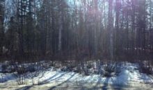 6953 N Grouse Loop Wasilla, AK 99654