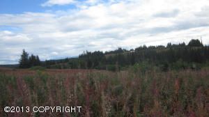 000 W Skyline Drive, Homer, AK 99603