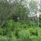 253 E Bunnell Avenue, Homer, AK 99603 ID:6888564