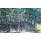 19 Amicalola Woods, Dahlonega, GA 30533 ID:5885207
