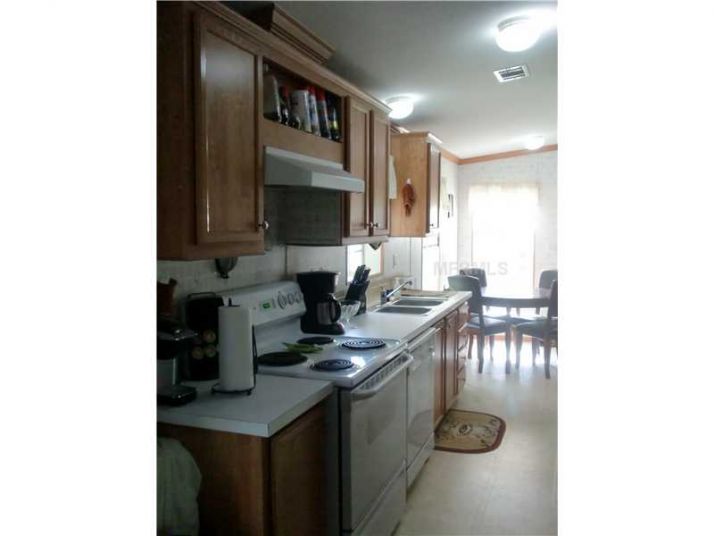 19216 LIVENGOOD RD, Lutz, FL 33559