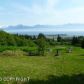 315 Paintbrush Street, Homer, AK 99603 ID:6888859