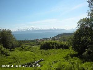 40915 Crested Crane Street, Homer, AK 99603
