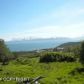 40915 Crested Crane Street, Homer, AK 99603 ID:6888868