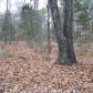 15 Acres M/L on CR 3541, Clarksville, AR 72830 ID:1154814